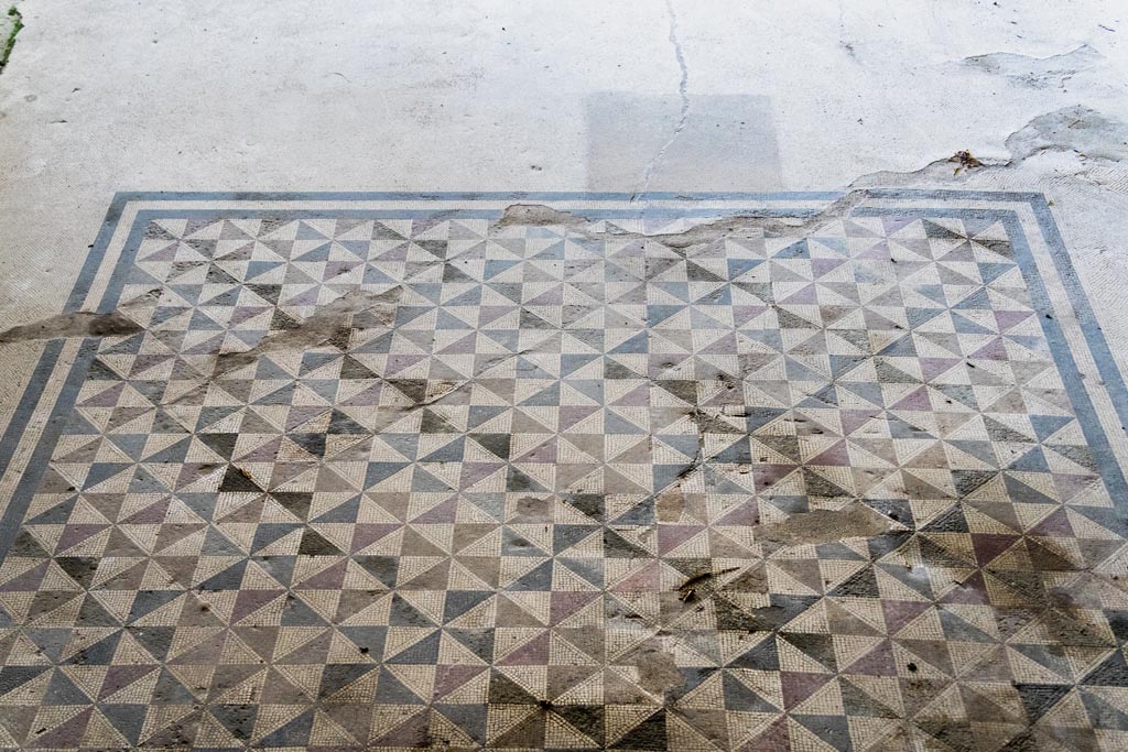Herculaneum Villa dei Papiri. October 2023. Room (i), triclinium, detail of mosaic flooring. Photo courtesy of Johannes Eber.